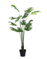 Artificial Monstera Deliciosa Tree 180cm (6ft)